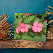 Pink Impatiens Blume Plaque Fotoplatte (Seite)