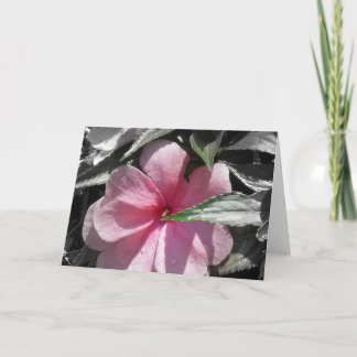 Pink Impatient Karte