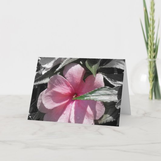 Pink Impatient Karte (Vorderseite)