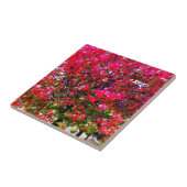 Pink impressionistisch Herbst Blätter Bäume Fliese (Seite)