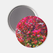 Pink impressionistisch Herbst Blätter Bäume Magnet (Vorderseite/Rückseite)