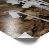 Pink Indian Pipe Mushroom Blume Fotodruck (Ecke)