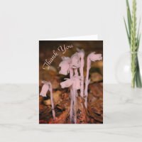 Pink Indian Pipe Wildblume Natur Danke Karte