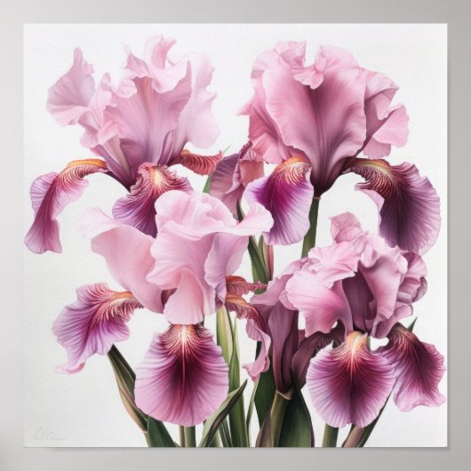 Pink Ire Blume Art Print Poster (Vorne)
