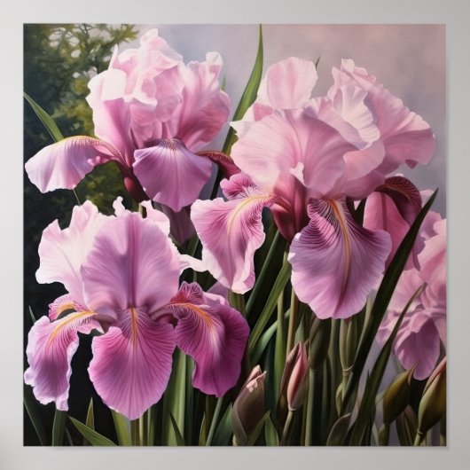 Pink Ire Blume Art Print Poster (Vorne)