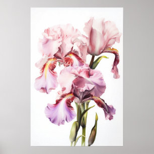Pink Ire Blume Art Print Poster