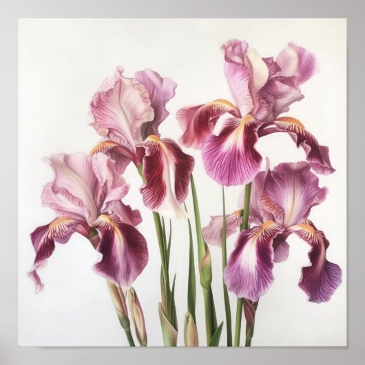 Pink Ire Blume Art Print Poster (Vorne)