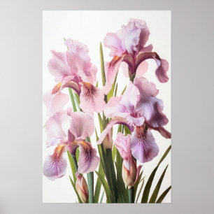 Pink Ire Blume Art Print Poster