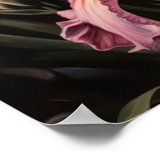 Pink Iris Blume Art Print Poster (Ecke)