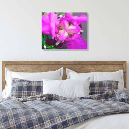 Pink-Iris-Leinwand Leinwanddruck (Insitu (Schlafzimmer))