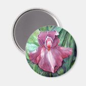 Pink Iris Magnet (Vorderseite/Rückseite)