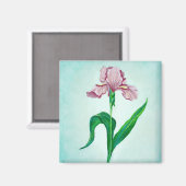 Pink-Iris-Magnet Magnet (Vorderseite/Rückseite)