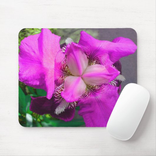 Pink Iris Mousepad (Mit Mouse)