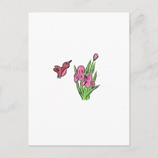 Pink Iris Postkarte (Vorderseite)