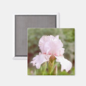Pink Iris - Vanity Magnet (Vorderseite/Rückseite)
