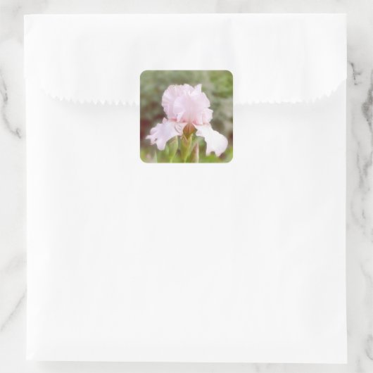 Pink Iris - Vanity Quadratischer Aufkleber (Tasche)