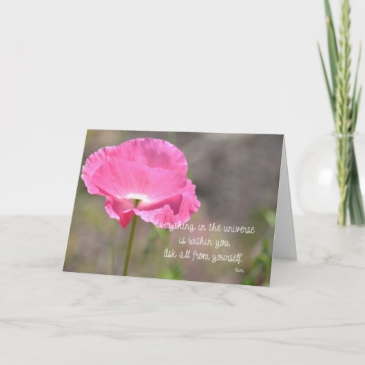 Pink Island Poppy Blume Karte (Vorderseite)
