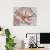 Pink Island Poppy Blume Plakatdrucke Poster (Heimbüro)