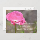 Pink Island Poppy Blume Postkarte (Vorne/Hinten)