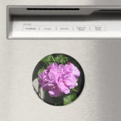 Pink Ivy Geranium Magnet (In Situ (Geschirrspüler))