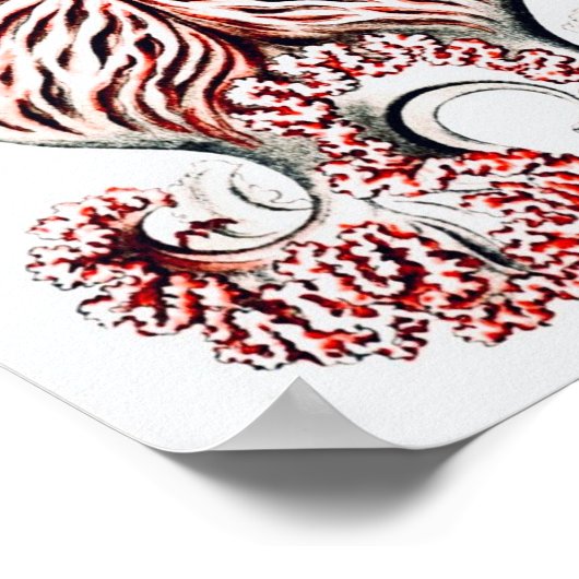 Pink Jellifish - Ernst Haeckel Poster (Ecke)