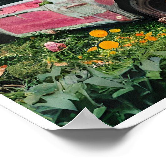 Pink Junkyard Car Poster (Ecke)