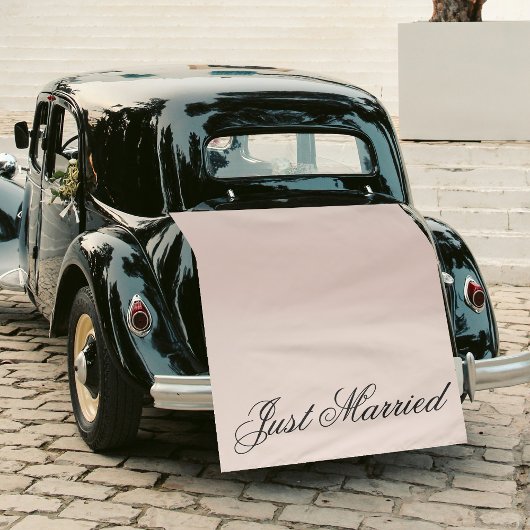 Pink Just Married Fabric Car Wedding Banner Sign Wandteppich