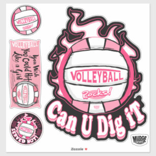 Pink kannst du es Volleyball spielen lassen Aufkleber