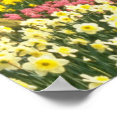 Pink Keukenhof Gardens, Holland Blume Poster (Ecke)