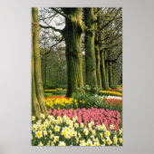 Pink Keukenhof Gardens, Holland Blume Poster (Vorne)