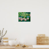 Pink Lace-Cap Hydrangea Blüten - Poster (Küche)