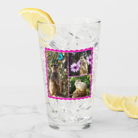 Pink Lacy Meerkat Collarge Glas (Vorderseite Ice)