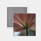 Pink Lady Magnet (Vorderseite/Rückseite)