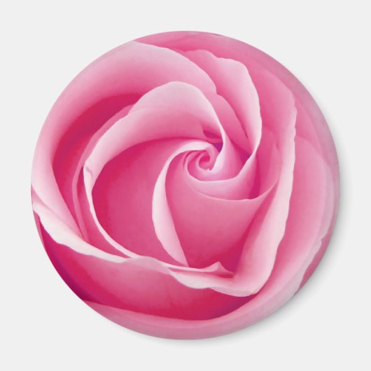 Pink Lady Rose Magnet (Vorne)