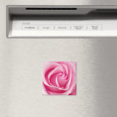 Pink Lady Rose Magnet - Square (In Situ (Geschirrspüler))
