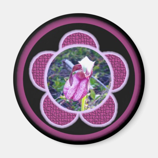 Pink Lady Slipper 2 Magnet (Vorne)