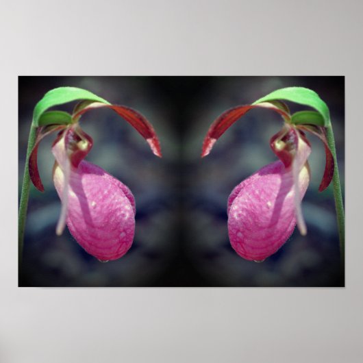 Pink Lady Slipper Orchid Blume Mirror Abstrakt Poster (Vorne)