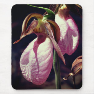 Pink Lady Slipper Orchid Blume Mousepad