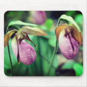 Pink Lady Slipper Orchid Blume Mousepad (Vorne)