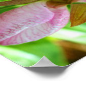 Pink Lady Slipper Orchid Blume Nah Abstrakt Poster (Ecke)