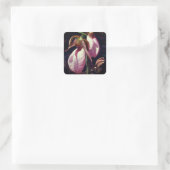 Pink Lady Slipper Orchid Blume Quadratischer Aufkleber (Tasche)