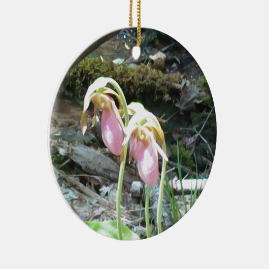 Pink Lady Slipper Orchid Keramikornament (Rechts)