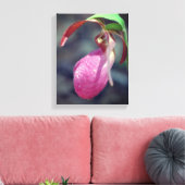 Pink Lady Slipper Orchid Raindrop Leinwanddruck (Insitu (Wohnzimmer))