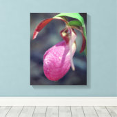 Pink Lady Slipper Orchid Raindrop Leinwanddruck (Insitu (Holzboden))