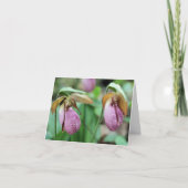 Pink Lady Slipper Orchids Flower Photography (Vorderseite)