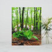 Pink Lady Slipper Wild Orchid (Stehend Vorderseite)