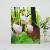Pink Lady Slipper Wild Orchid (Stehend Vorderseite)