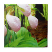 Pink Lady Slipper Wild Orchid Fliese (Vorderseite)