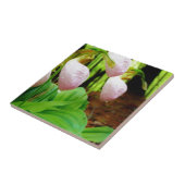 Pink Lady Slipper Wild Orchid Fliese (Seite)