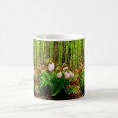 Pink Lady Slipper Wild Orchid Kaffeetasse (Mittel)